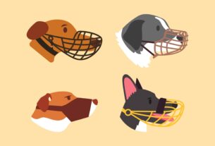 Muzzles for Dogs