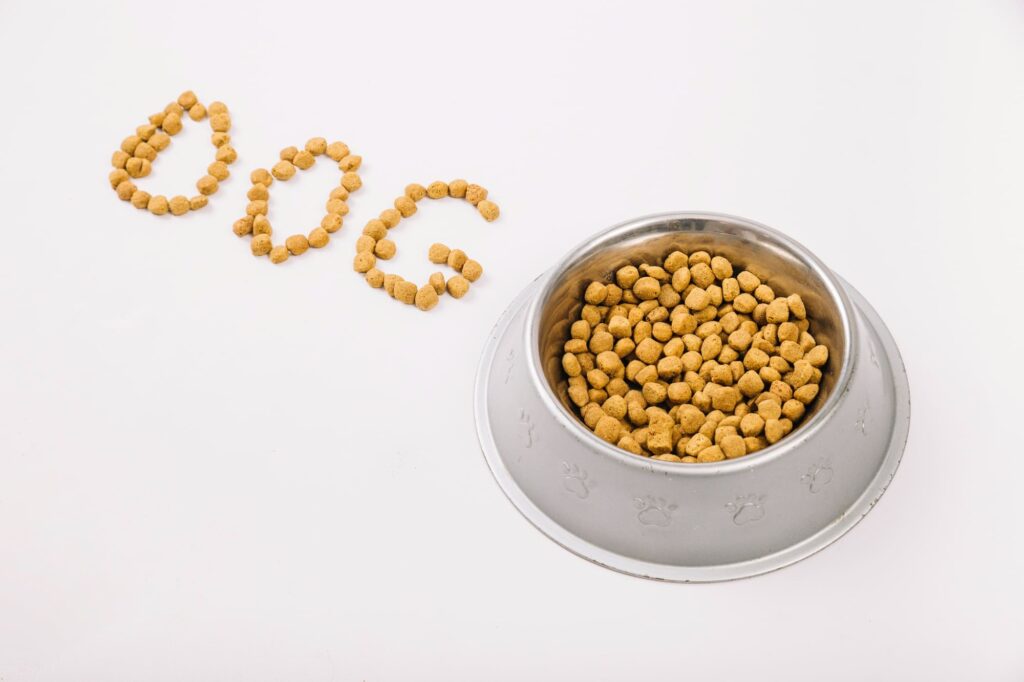 Is Purina Safe for Dogs