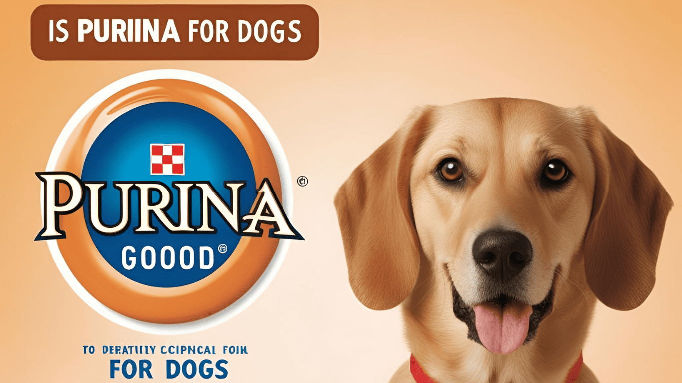 Is Purina Safe for Dogs