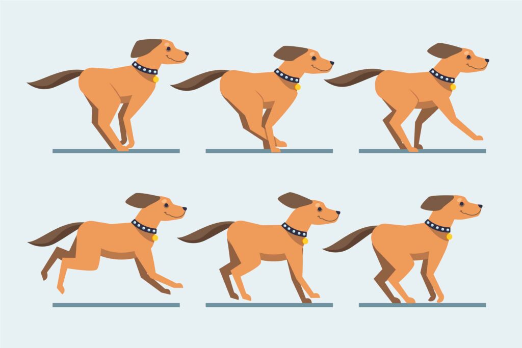 What Does Your Dog's Tail Say
