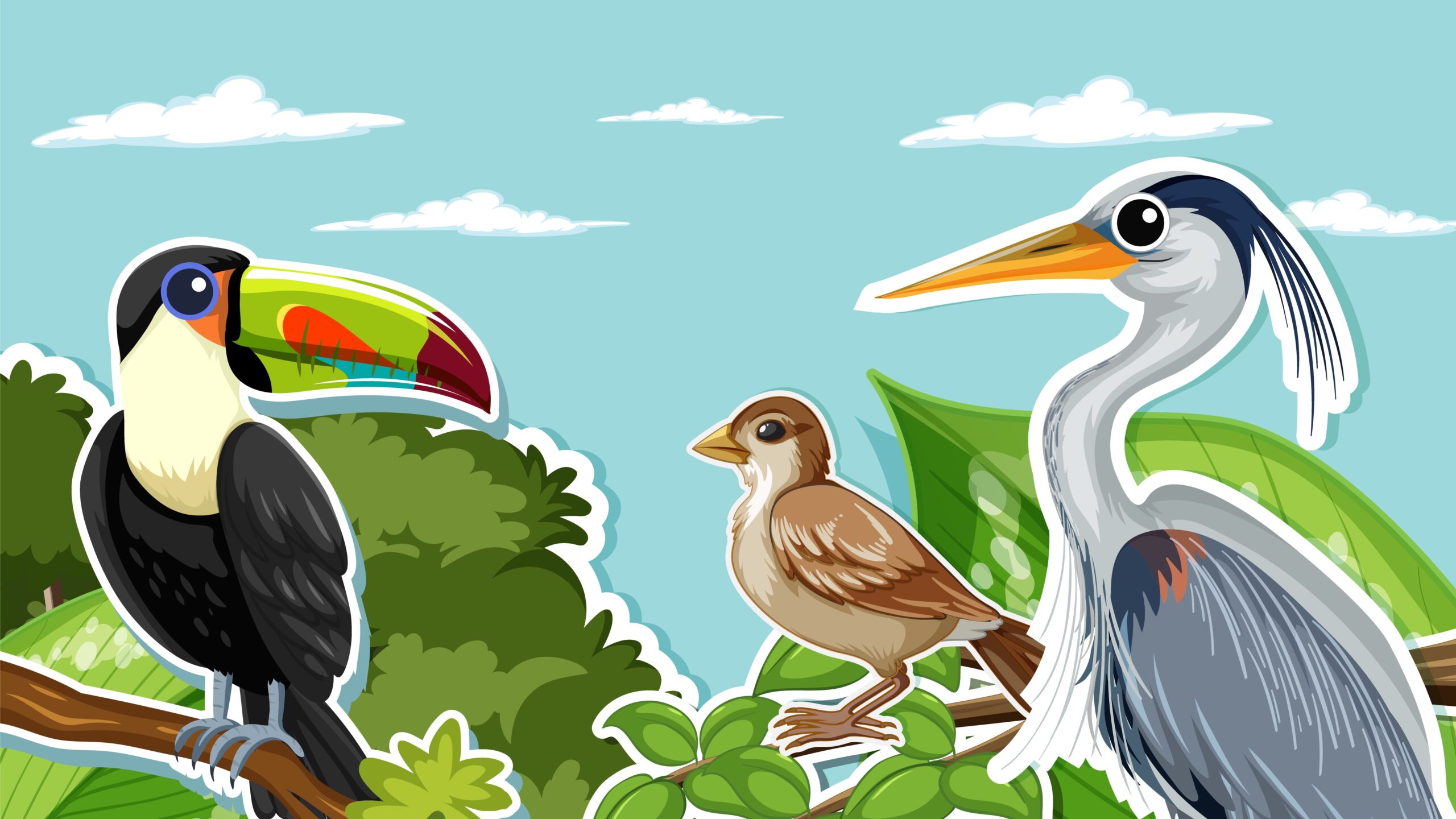 Shoebill Stork